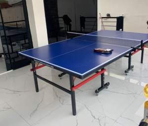 table tennis boards in Port Harcourt